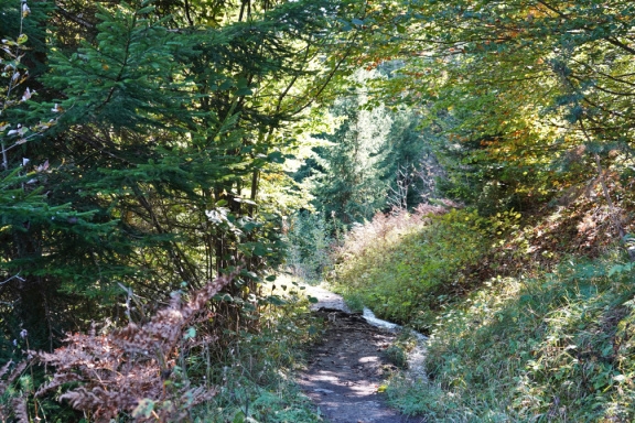 DSC02780
