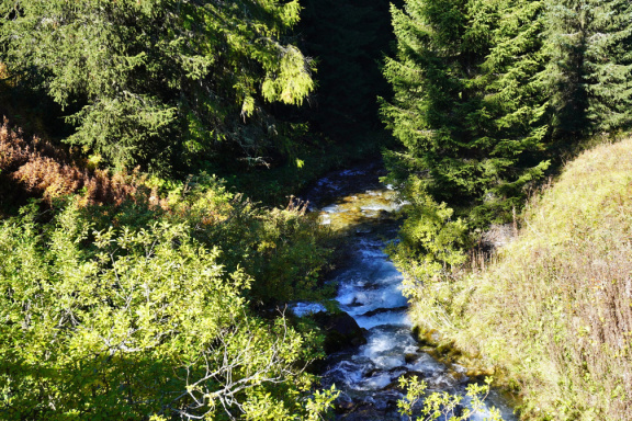 Randonnée Preda - Bergün