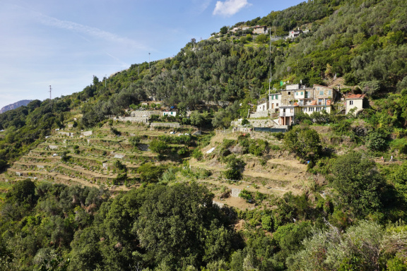 Cinque Terre