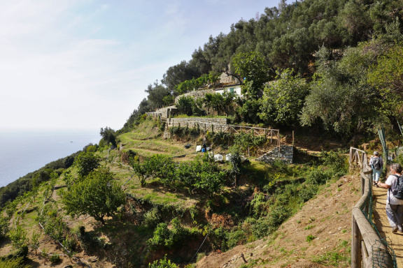 Cinque Terre