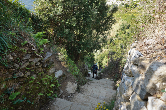 Cinque Terre