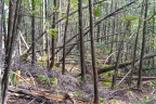 Parc national de la Mauricie