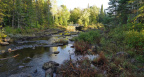 Parc national de la Mauricie