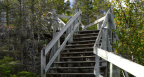 Tadoussac