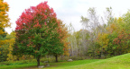 Parc national de la Yamaska