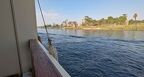 Croisière sur le Nil